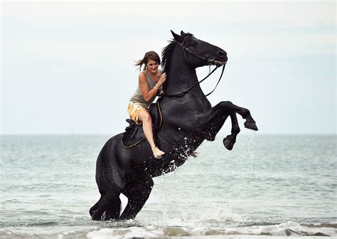 Find photos of horse rider. Sailing Boat | Evermore - Premium Responsive WordPress Theme