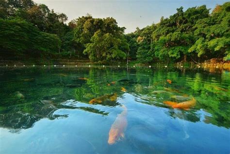 Terutama buat kamu yang sedang berada di jogja dan bingung mau berlibur di mana. Lokasi dan Harga Tiket Masuk Situ Cicerem, Pesona Wisata ...