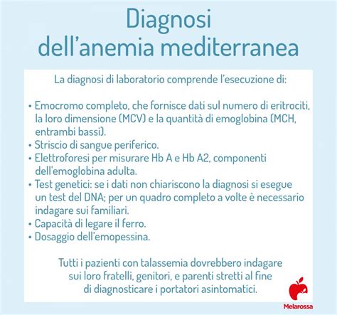 Anemia Mediterranea Cosè Cause Sintomi Diagnosi Cure