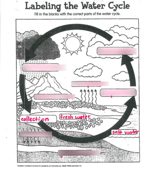 The Water Cycle Biology Diagram Quizlet