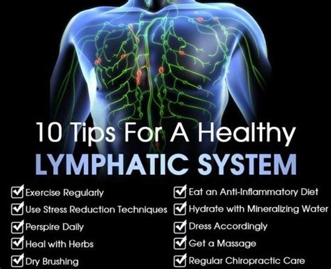Tips To Help With A Healthy Lymphatic System Lymphaticsystem With