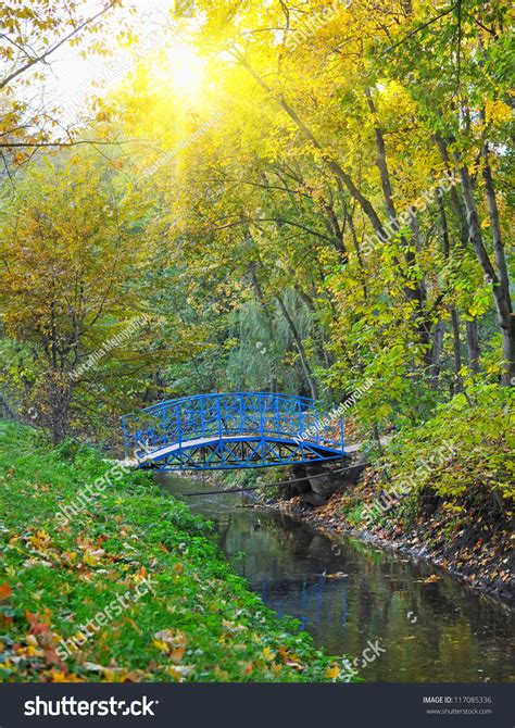 Beautiful Autumn Landscape River By Bridge Stock Photo 117085336