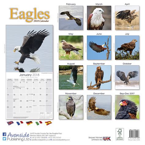 Eagles Calendari Da Muro 2022 Compra Su Europostersit