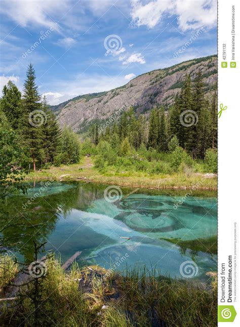 Lake Mountain Forest Turquoise Stock Photo Image Of Beautiful Shore