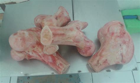 Namun, saat ini sudah banyak. Jual TULANG SUM SUM SAPI di lapak shopoagemilang beef ...