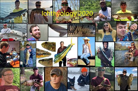 Virginia Tech Ichthyology Class Fluvial Fishes Lab Year In Review By