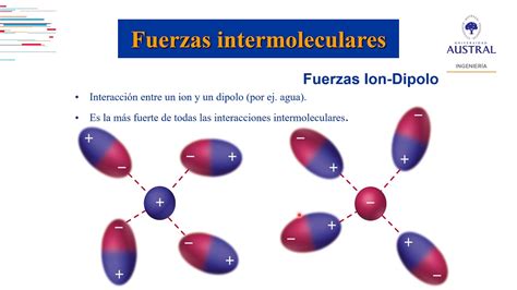 Trending Fuerzas Intermoleculares Mapa Conceptual Background Confuse