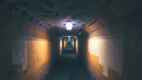 50 Amazing Underground Photos · Pexels · Free Stock Photos