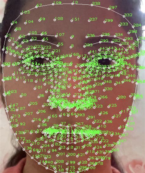 Github Kanikshas Real Time Detection Of Facial Landmarks Using