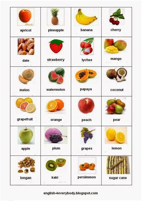 English For Beginners Fruits In English Easy English Grammar English