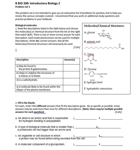 Https://tommynaija.com/worksheet/biological Molecules Review Worksheet Answers