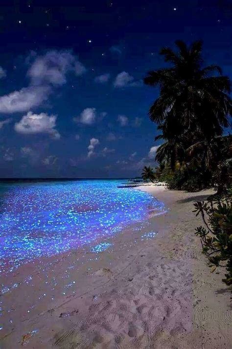 Sea Of Stars — Vaadhoo Maldives Rmostbeautiful