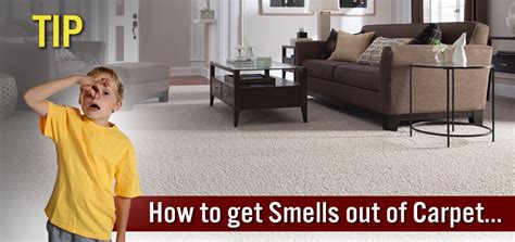 The Best Way To Get Rid Of Carpet Smells The Carpet Guys