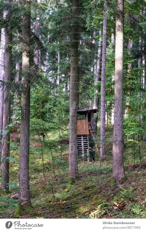 Hochsitz Des Jägers Im Wald Ein Lizenzfreies Stock Foto Von Photocase