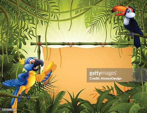 Jungle Background Cartoon Photos And Premium High Res Pictures Getty