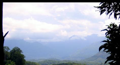 Nicetown offers a variety of custom curtains for home window decoration. Life. Loosely.: Chittar Dam: The word that paints a ...