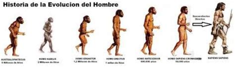La Evolucion Del Hombre Timeline Timetoast Timelines