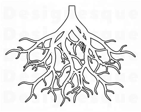 Dxf Roots 2 Svg Png Roots Clipart Roots Files For Cricut Tree Roots