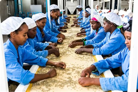 How Were Scaling Agro Processing Efforts In Africa Agricorp