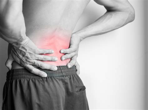 What Are The Common Causes Of Lower Back Pain Lifestyle