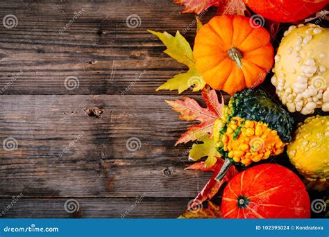 Colorful Pumpkins And Fall Leaves On Wooden Background Top View Stock