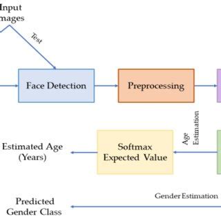Schematic Diagram Of The Proposed Age And Gender Estimation Method