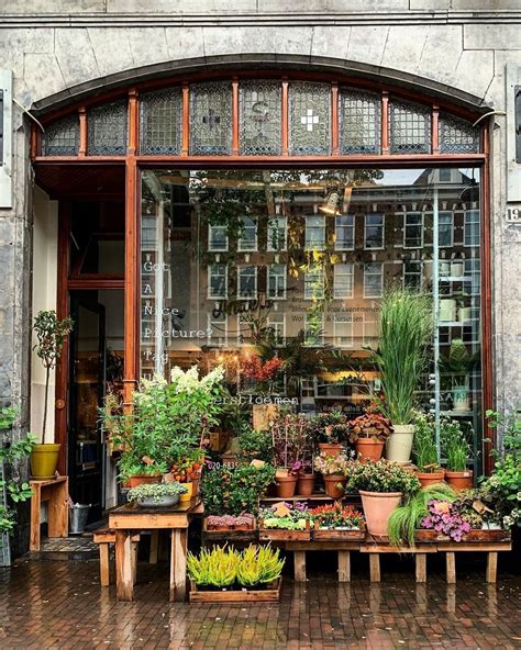 The Flower Shopkeepers On Instagram Stunning Amsterdam Flower Shop