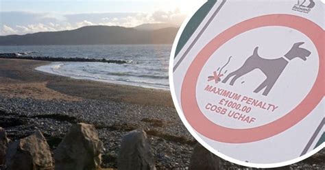 The North Wales Beauty Spots Which People Say Are Being Ruined By Dog