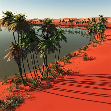 Palm Trees Near Oasis Oasis In The Sahara Desert Africa Photography Desert Aesthetic Oasis