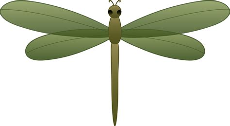 Green Darner Dragonfly Cartoon Clip Art Library