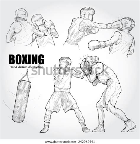 Illustration Boxing Hand Drawn Stock Vector Royalty Free 242062441