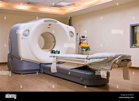 What Is A Ct Scan For Dogs