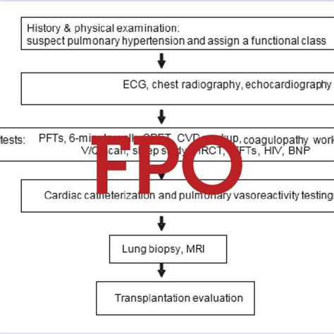 Types Of Ph Pulmonary Hypertension Association