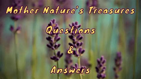 mother nature s treasures questions and answers wittychimp