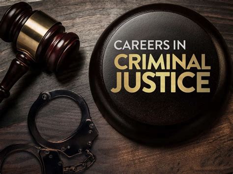Top 15 Criminal Justice Jobs That Dont Require Police Academy