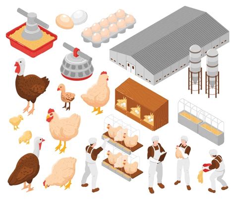 Conveyors Poultry Farms Images Stock Photos D Objects