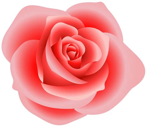 Download High Quality Rose Clipart Pink Transparent Png Images Art