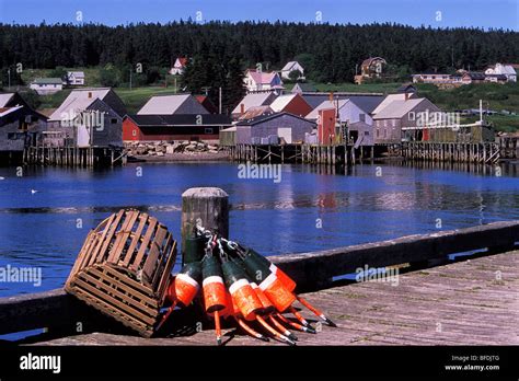 Harbour And Dock Of Fishing Village Seal Cove Grand Manan Island New