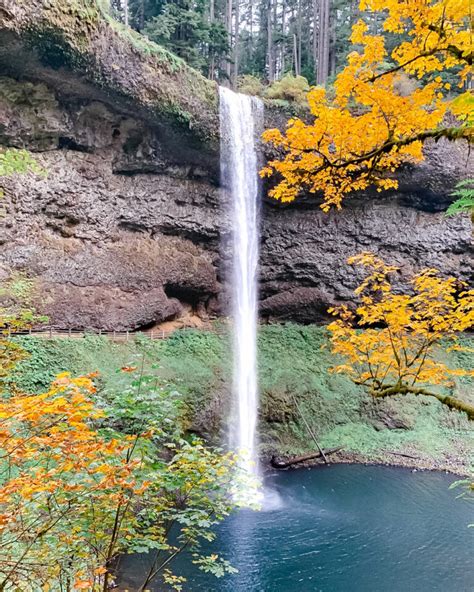 Beautiful Fall Colors At Silver Falls State Park In Oregon