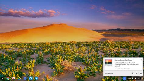Free Download Updated Daily Wallpapers With Microsoft S Bing Desktop