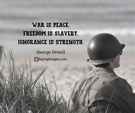 30 Most Thought Provoking War Quotes War Peace Quotes War Quotes