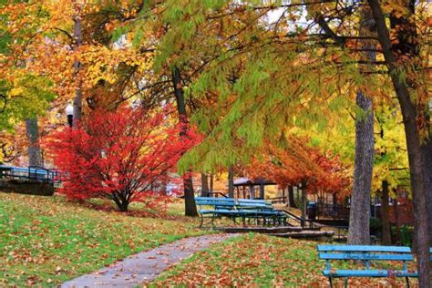 Best Places To See Fall Colors In Missourifall Color