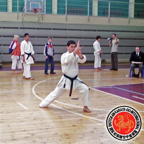 You'll find different stances are traditional depending on which type you're practicing. Zenkutsu-dachi Stance | Shotokan karate, Shotokan, Karate