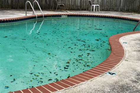 How To Remove Pool Stains Your Complete Guide