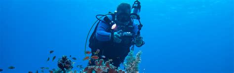 Underwater Photography For Beginners In Red Sea Marsa Alam