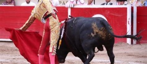 Bull In Mexico Gores Butt Of Matador Antonio Romero With 11 Inch Horn
