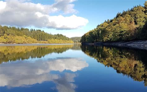 Three Lochs Forest Drive Aberfoyle Tutto Quello Che Cè Da Sapere