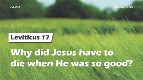 Leviticus 17 Why Did Jesus Have To Die When He Was So Good｜acad Bible