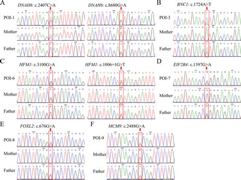 Sanger Sequencing Validated The Poi Related Variants A Sanger Download Scientific Diagram