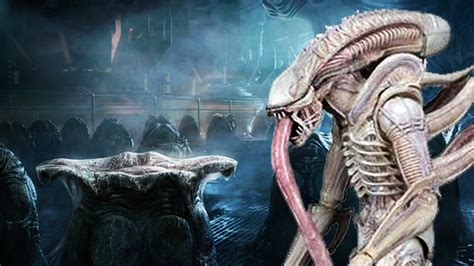 Many films about extraterrestrials, alien themed abductions, or visitors from other planets turn them into traditional horror villains. ALIEN: New Albino Type Explained Aliens Movie Original ...